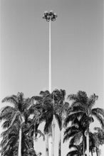 Load image into Gallery viewer, &quot;Palm Trees&quot; by Henriette Philippa Fee Seibert
