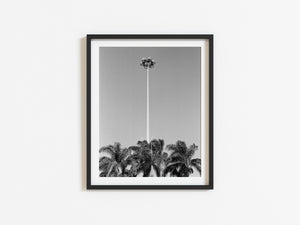 "Palm Trees" by Henriette Philippa Fee Seibert